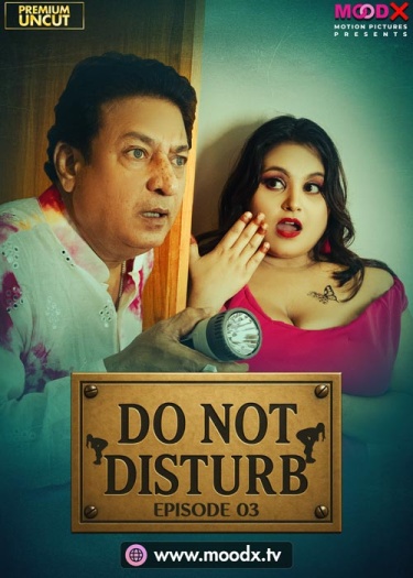 Do Not Disturb (2025)