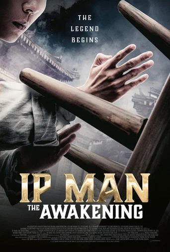 Ip Man The Awakening (2021)