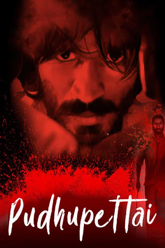 Pudhu Pettai (2006)