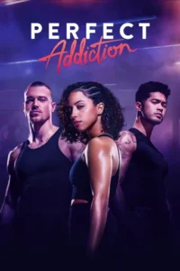 Perfect Addiction (2023)